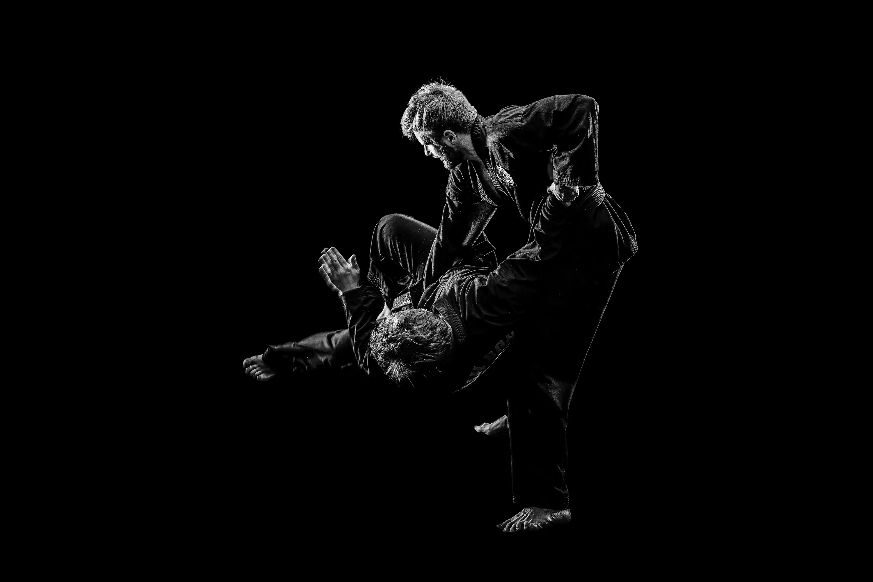 Hapkido